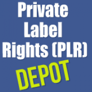 PLR Digital Products